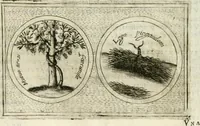 An illustration from Teatro d'imprese (1623)
