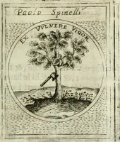 Picture 81 of 765 from Teatro d'imprese (1623), leaf 560