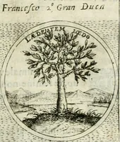 An illustration from Teatro d'imprese (1623)