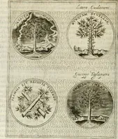 An illustration from Teatro d'imprese (1623)