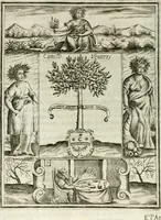 An illustration from Teatro d'imprese (1623)
