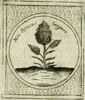 An illustration from Teatro d'imprese (1623)