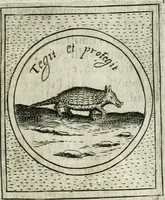 An illustration from Teatro d'imprese (1623)