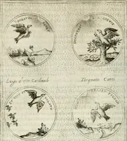 Picture 111 of 765 from Teatro d'imprese (1623), leaf 599
