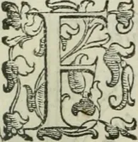 An illustration from Teatro d'imprese (1623)
