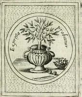 An illustration from Teatro d'imprese (1623)