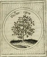 An illustration from Teatro d'imprese (1623)