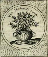 Picture 158 of 765 from Teatro d'imprese (1623), leaf 642