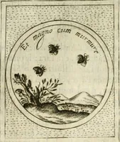 An illustration from Teatro d'imprese (1623)