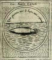 Picture 190 of 765 from Teatro d'imprese (1623), leaf 666
