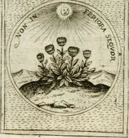 An illustration from Teatro d'imprese (1623)