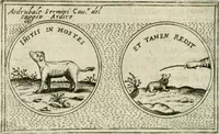 Picture 207 of 765 from Teatro d'imprese (1623), leaf 683