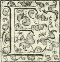An illustration from Teatro d'imprese (1623)