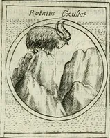 Picture 218 of 765 from Teatro d'imprese (1623), leaf 694