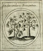 An illustration from Teatro d'imprese (1623)