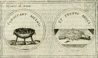 Picture 222 of 765 from Teatro d'imprese (1623), leaf 697