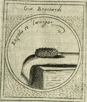 Picture 223 of 765 from Teatro d'imprese (1623), leaf 698