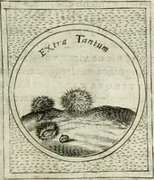 Picture 235 of 765 from Teatro d'imprese (1623), leaf 708