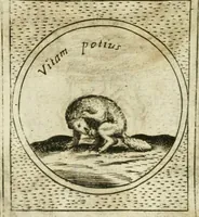 An illustration from Teatro d'imprese (1623)
