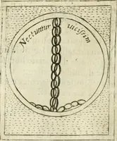 Picture 242 of 765 from Teatro d'imprese (1623), leaf 713