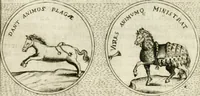 Picture 244 of 765 from Teatro d'imprese (1623), leaf 715