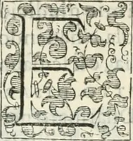 An illustration from Teatro d'imprese (1623)