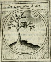 Picture 260 of 765 from Teatro d'imprese (1623), leaf 732