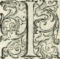 An illustration from Teatro d'imprese (1623)