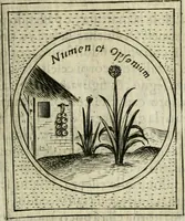 Picture 268 of 765 from Teatro d'imprese (1623), leaf 742