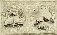 Picture 280 of 765 from Teatro d'imprese (1623), leaf 750