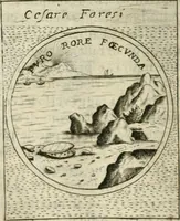 Picture 288 of 765 from Teatro d'imprese (1623), leaf 759