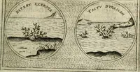 Picture 291 of 765 from Teatro d'imprese (1623), leaf 762