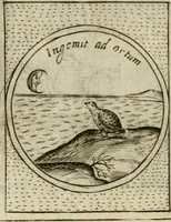 Picture 305 of 765 from Teatro d'imprese (1623), leaf 775