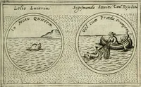 Picture 324 of 765 from Teatro d'imprese (1623), leaf 788
