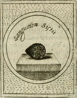 Picture 329 of 765 from Teatro d'imprese (1623), leaf 795