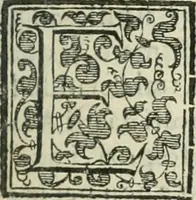 An illustration from Teatro d'imprese (1623)