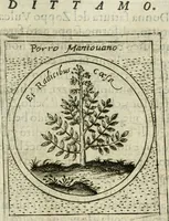 Picture 337 of 765 from Teatro d'imprese (1623), leaf 800