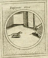 Picture 342 of 765 from Teatro d'imprese (1623), leaf 807