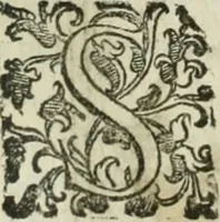 An illustration from Teatro d'imprese (1623)