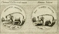 Picture 348 of 765 from Teatro d'imprese (1623), leaf 813