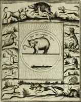 An illustration from Teatro d'imprese (1623)