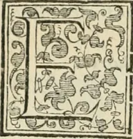 An illustration from Teatro d'imprese (1623)