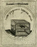 Picture 358 of 765 from Teatro d'imprese (1623), leaf 826