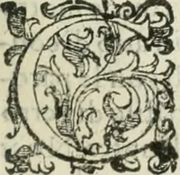An illustration from Teatro d'imprese (1623)