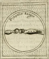 An illustration from Teatro d'imprese (1623)