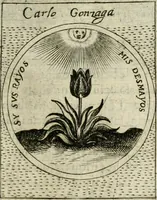 Picture 374 of 765 from Teatro d'imprese (1623), leaf 840