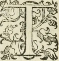An illustration from Teatro d'imprese (1623)