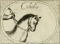 Picture 391 of 765 from Teatro d'imprese (1623), leaf 857