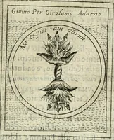 An illustration from Teatro d'imprese (1623)