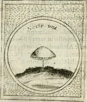 Picture 398 of 765 from Teatro d'imprese (1623), leaf 861